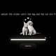 An in-game slider in which you help a cat and dog become friends.